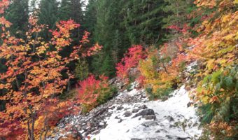Where to find Fall Colors in Portland